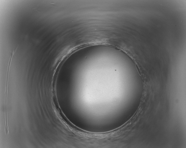 X0000060560002200511101615