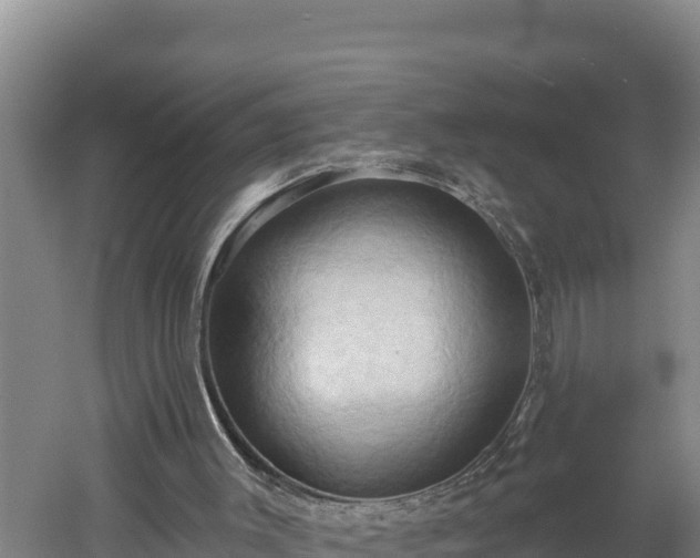 X0000060560003200511101615