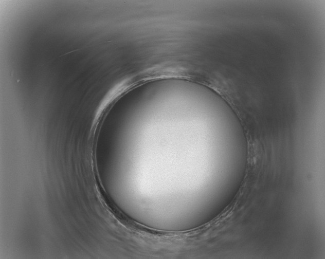 X0000060560004200511101615