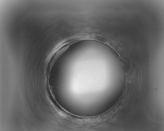 X0000060560005200511101615