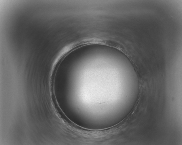 X0000060560006200511101615