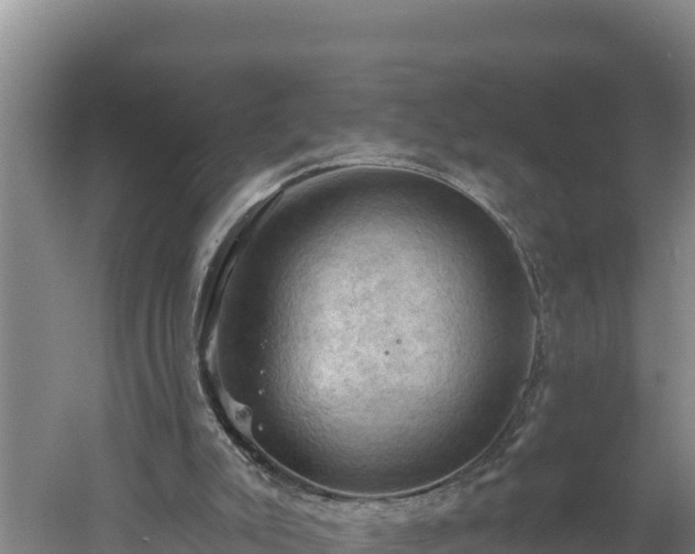 X0000060560007200511101615