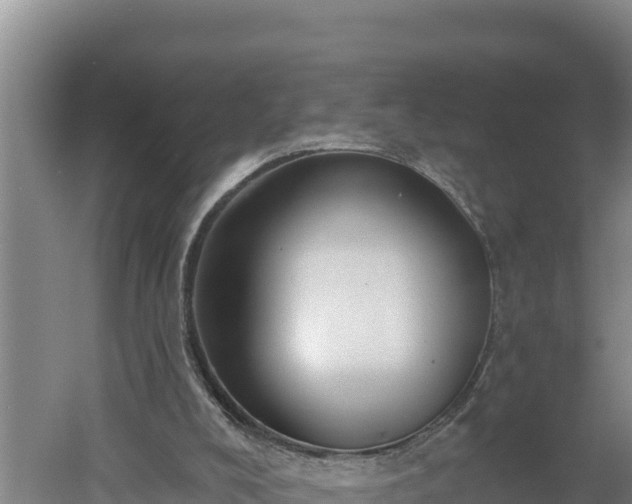 X0000060560008200511101615