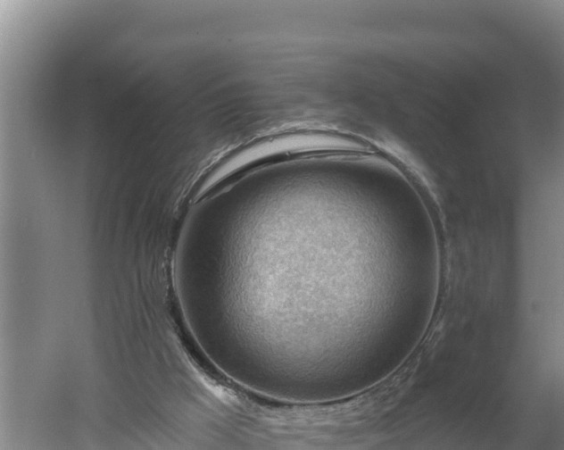 X0000060560009200511101615