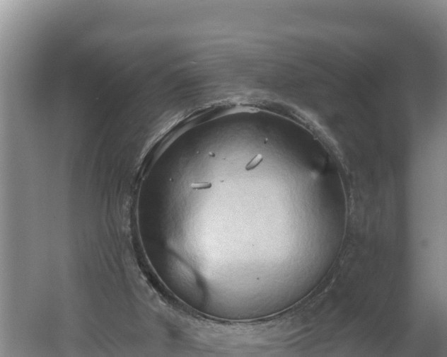 X0000060560010200511101615