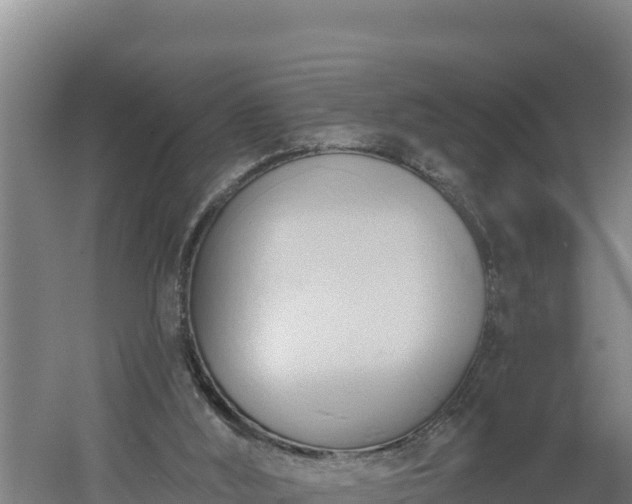 X0000060560012200511101615