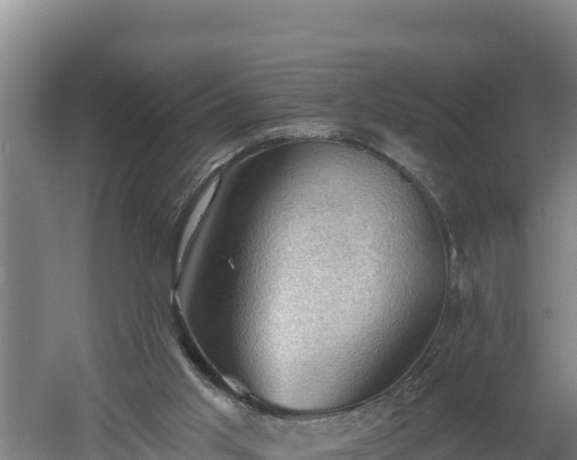 X0000060560013200511101615