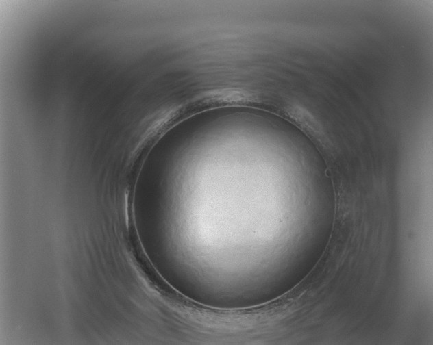 X0000060560014200511101615