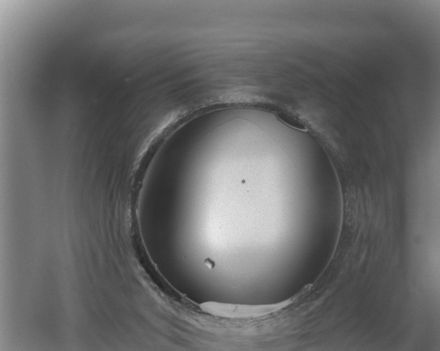 X0000060560015200511101615