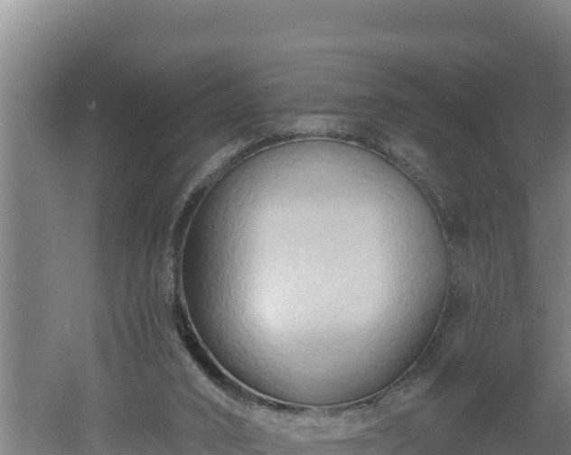 X0000060560016200511101615