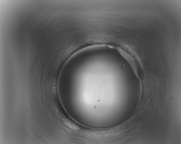 X0000060560017200511101615