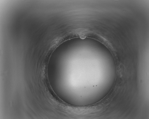 X0000060560018200511101615