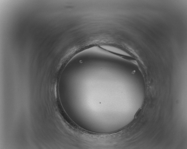 X0000060560019200511101615