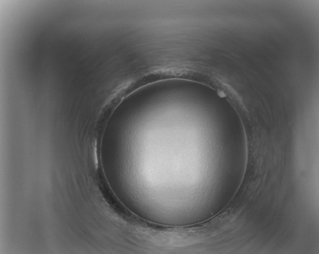 X0000060560020200511101615