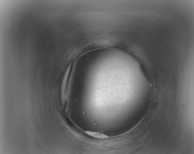 X0000060560021200511101615