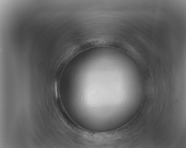 X0000060560022200511101615