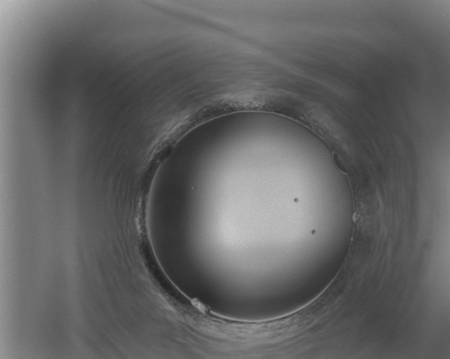 X0000060560023200511101615