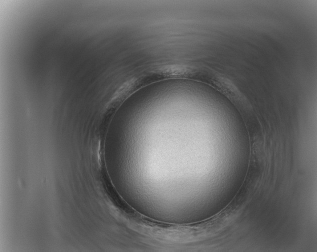 X0000060560024200511101615