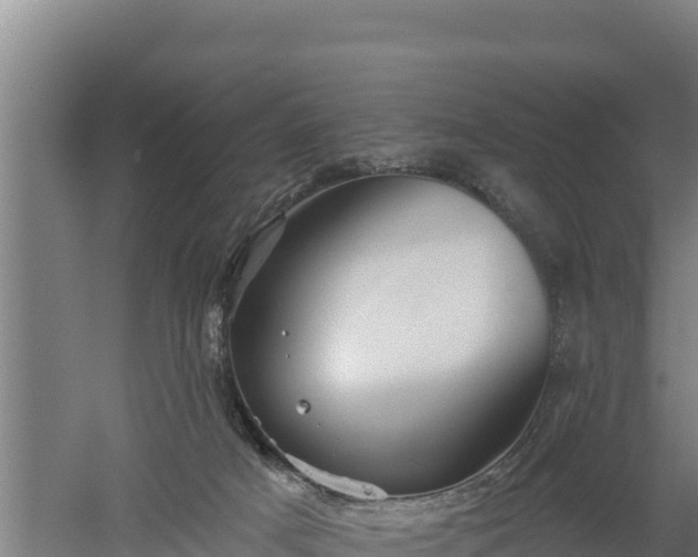 X0000060560025200511101615