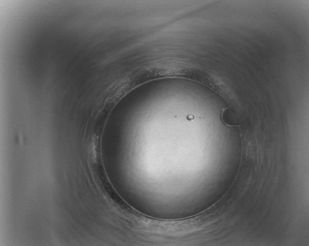 X0000060560026200511101615