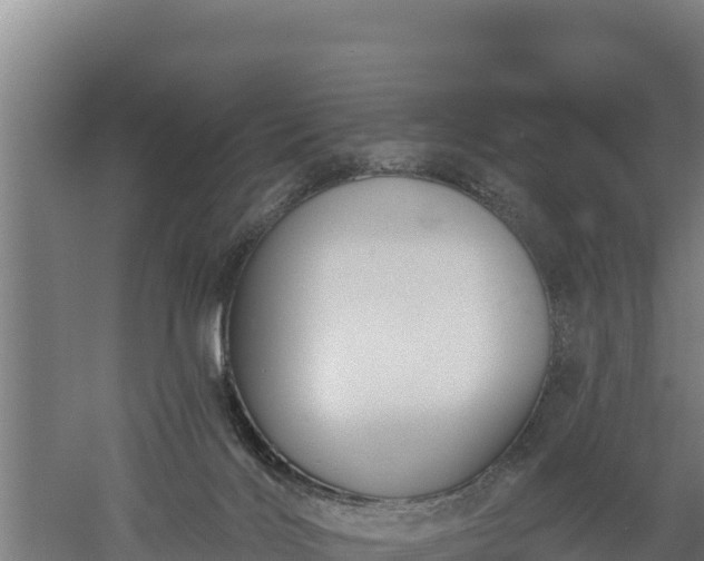 X0000060560028200511101615