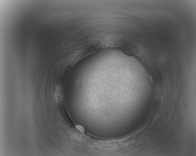 X0000060560029200511101615