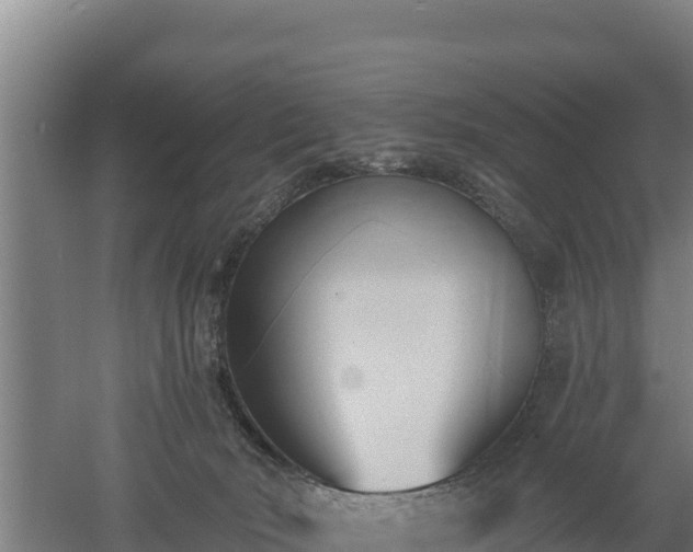 X0000060560030200511101615