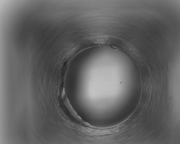 X0000060560031200511101615