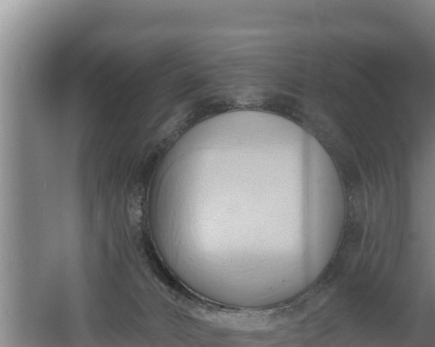 X0000060560032200511101615