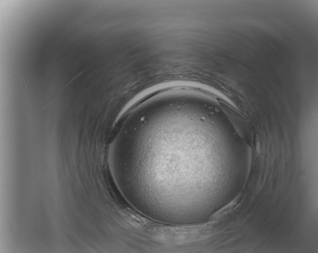 X0000060560033200511101615