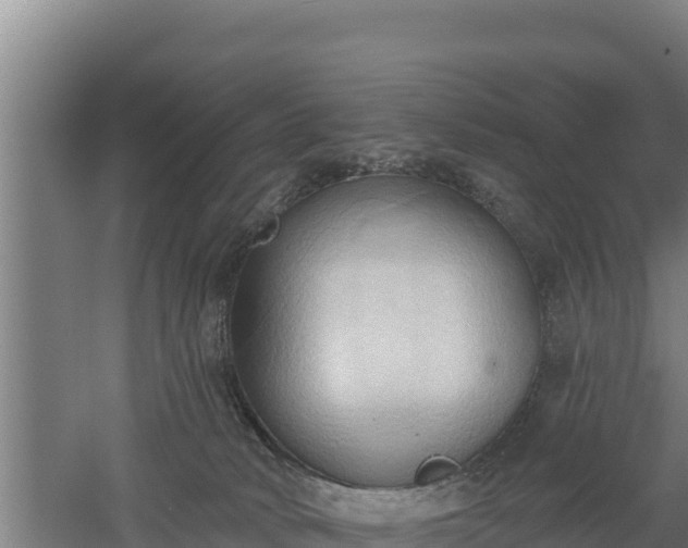 X0000060560034200511101615