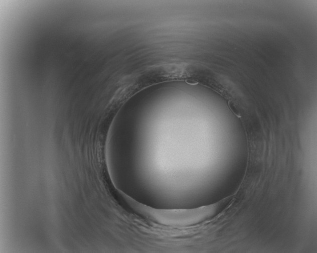 X0000060560035200511101615