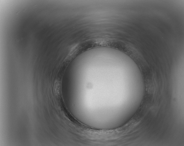 X0000060560036200511101615