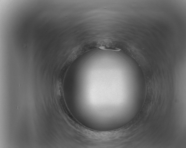 X0000060560038200511101615