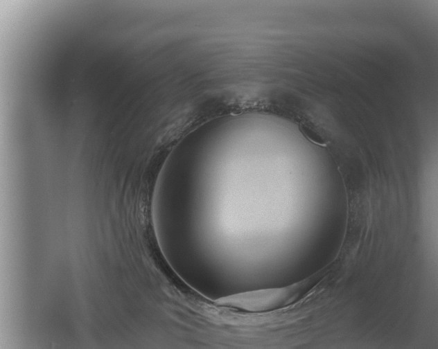 X0000060560039200511101615