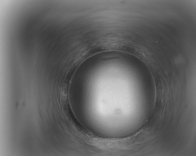 X0000060560040200511101615