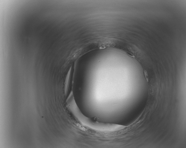 X0000060560041200511101615