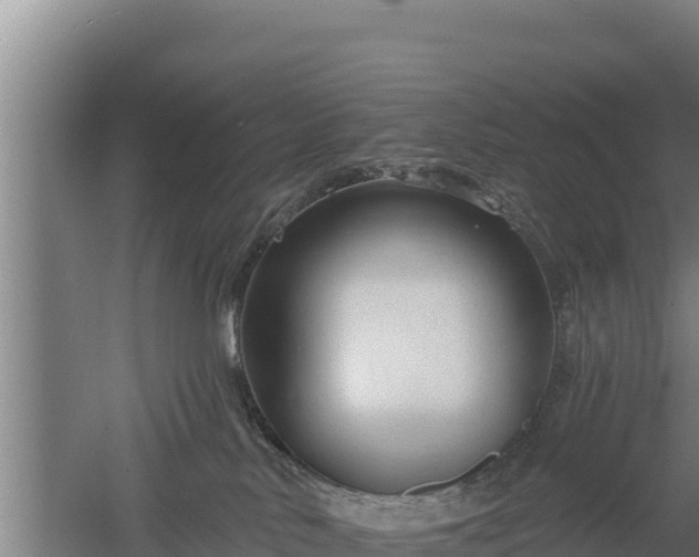 X0000060560042200511101615