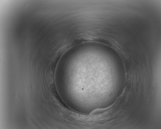 X0000060560043200511101615