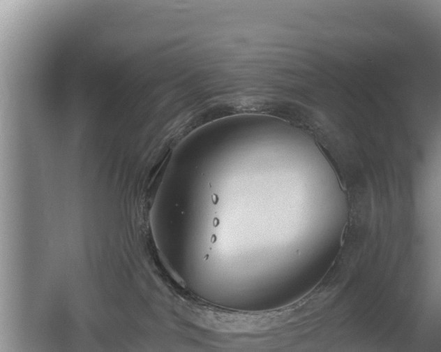 X0000060560044200511101615