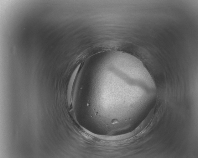 X0000060560045200511101615