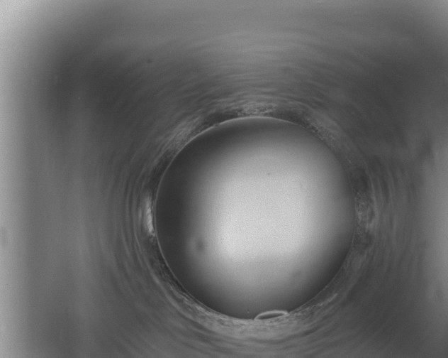 X0000060560046200511101615