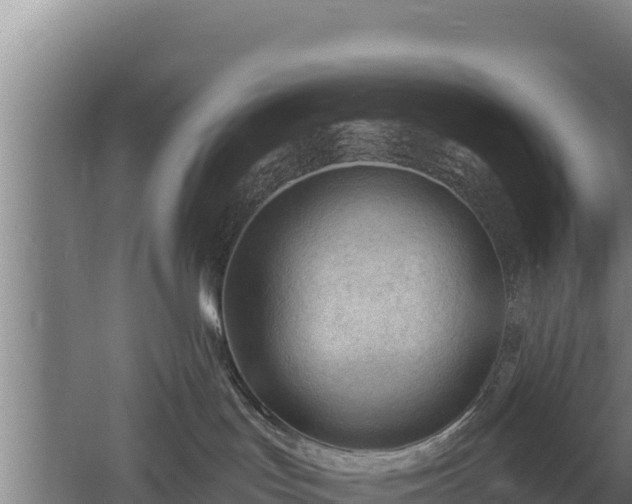 X0000060560047200511101615