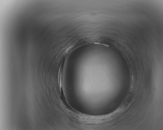 X0000060560048200511101615