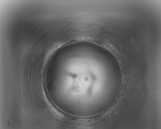 X0000060560049200511101614