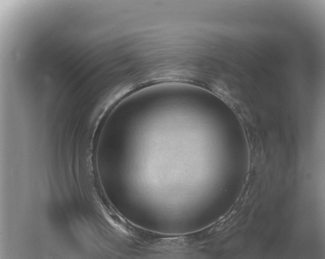 X0000060560050200511101614