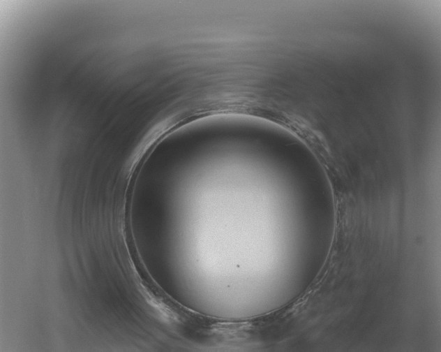 X0000060560051200511101614