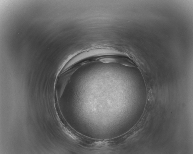 X0000060560052200511101614