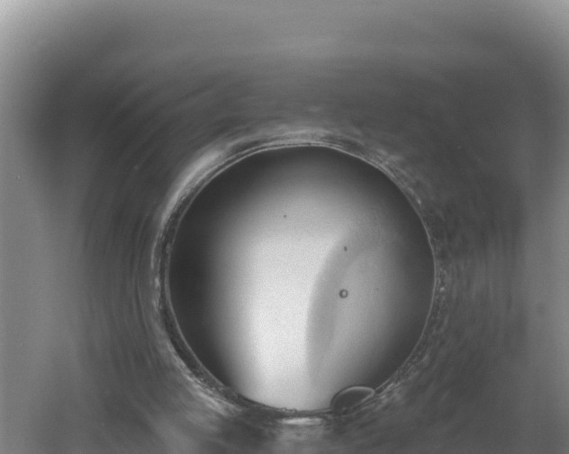 X0000060560053200511101614