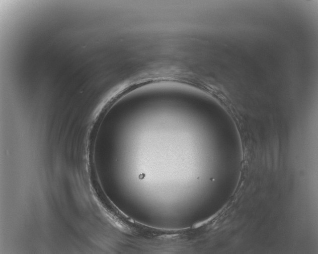 X0000060560054200511101614